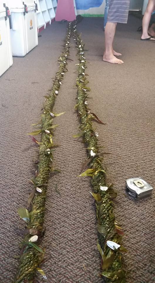49 foot long ti leaf lei