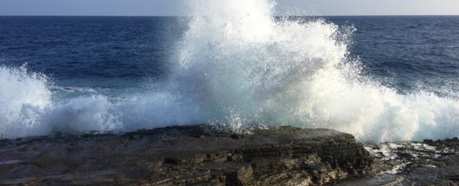 paid things to do in Hawaii