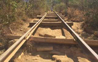 Surviving the koko head hike