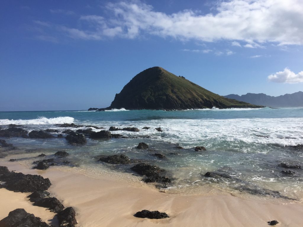 beach with rocks