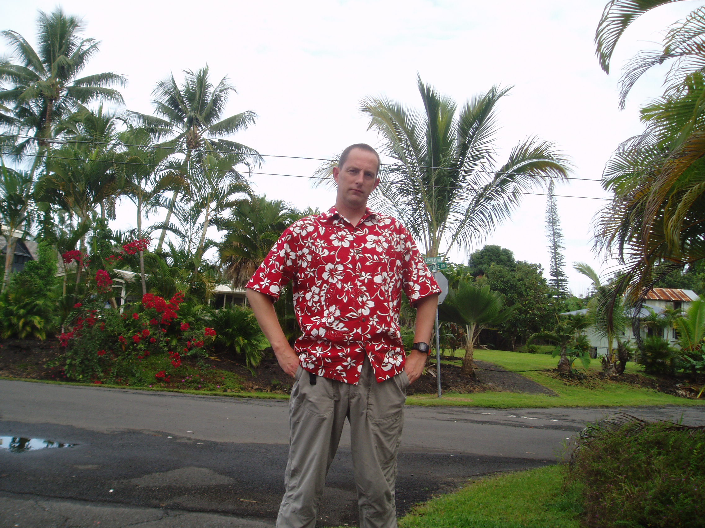 dress like a hawaiian