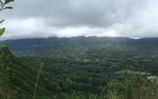 hawaii view