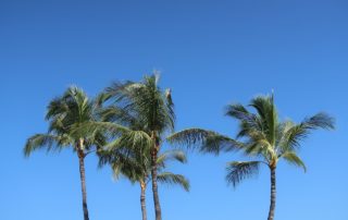 sun exposure in Hawaii