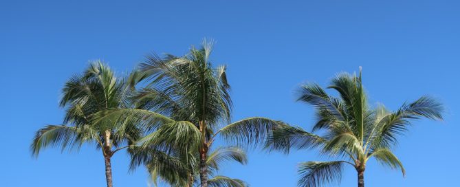 sun exposure in Hawaii