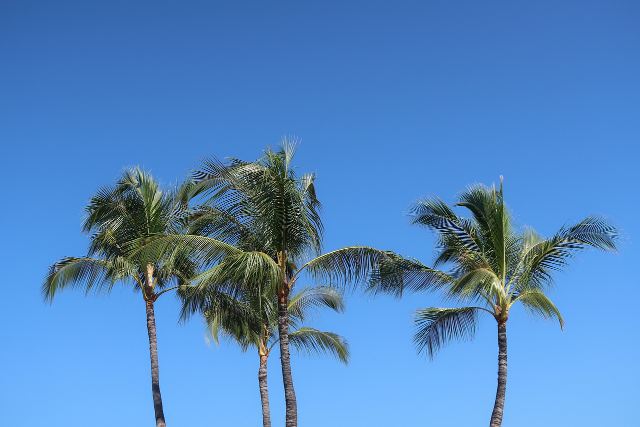 weather in hawaii