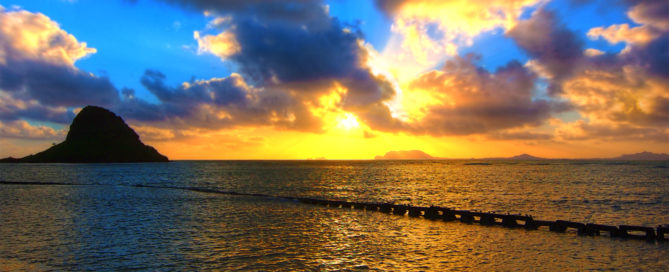 Surviving the koko head hike