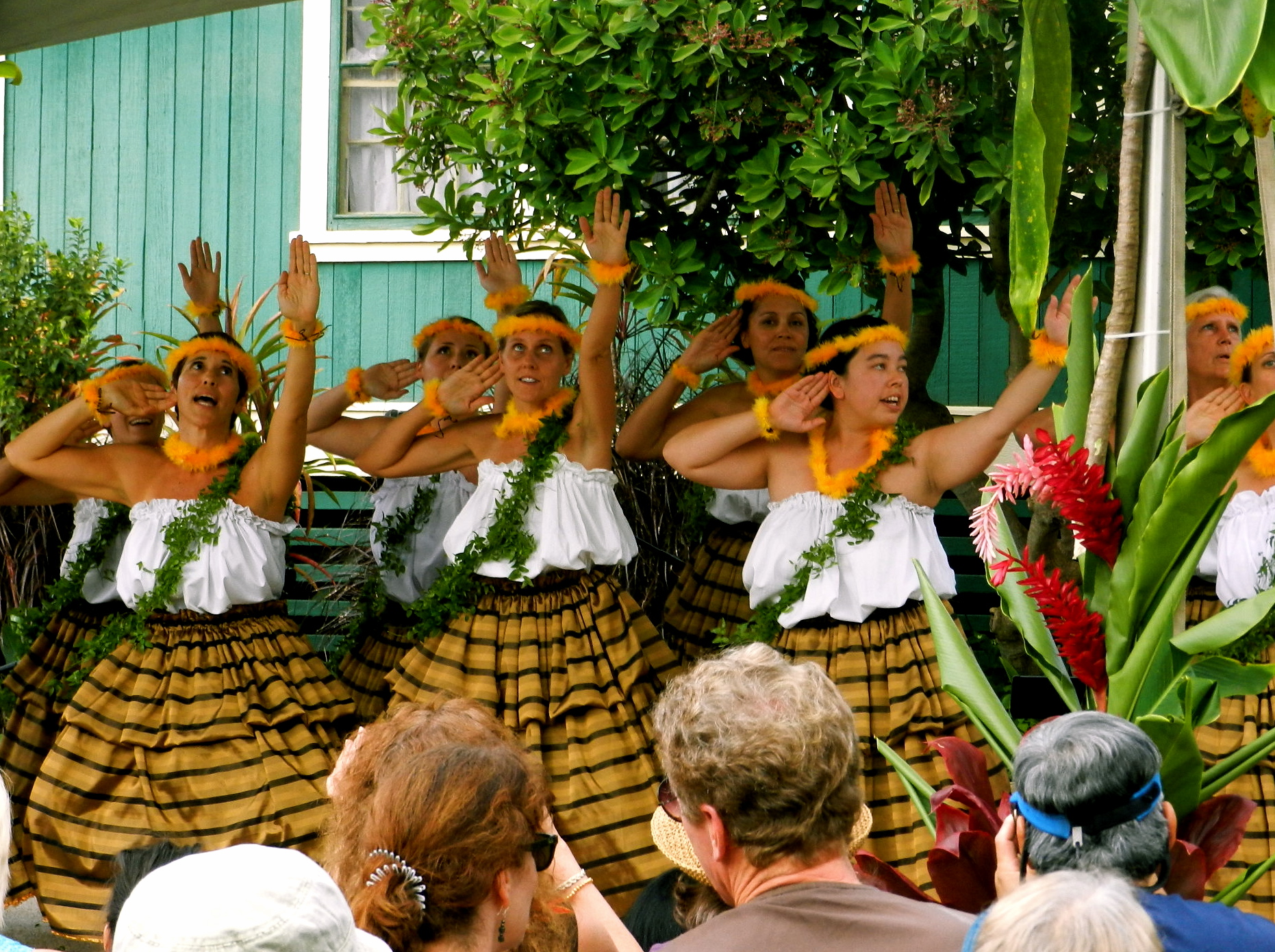 hawaii tours by locals