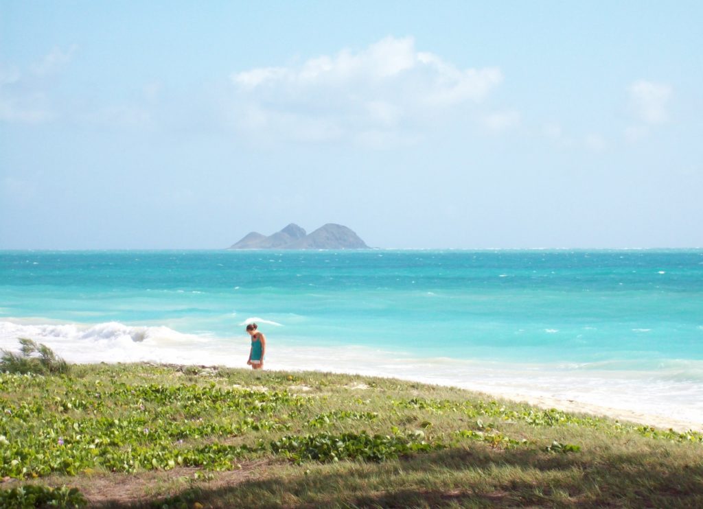 oahu bag tax