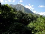 Maunawili Waterfall Hike