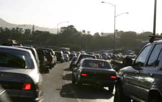 Hawaii Overpopulation