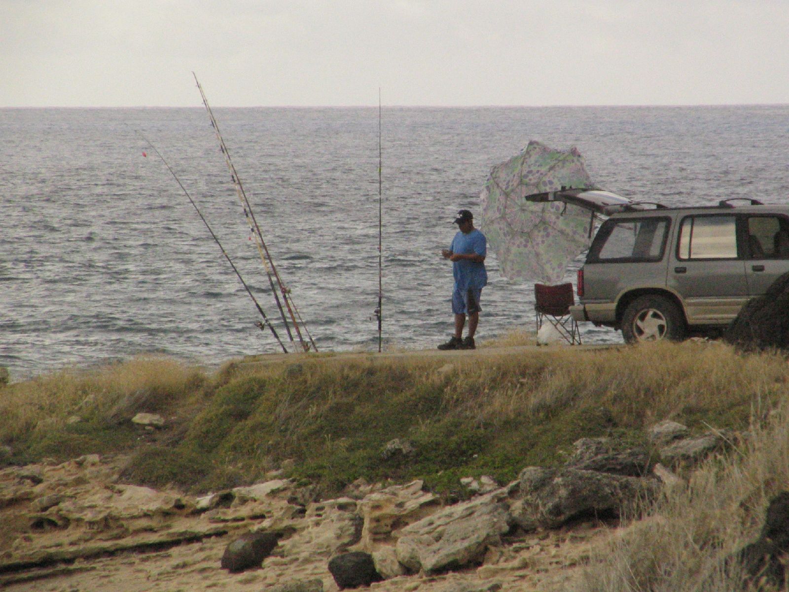 Hawaii Tide Chart Hawaii Fishing News