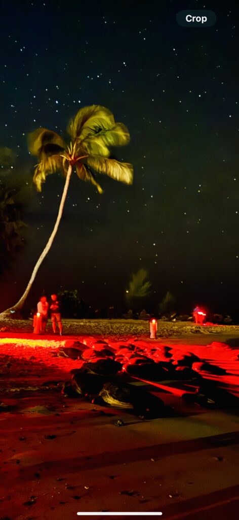 A nighttime beach scene with a palm tree silhouetted on the left. The red glow reflects on the calm water and creates an inviting atmosphere.