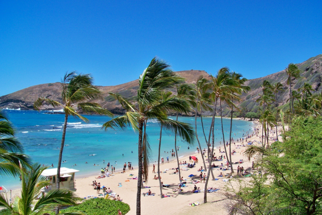 November in Hawaii