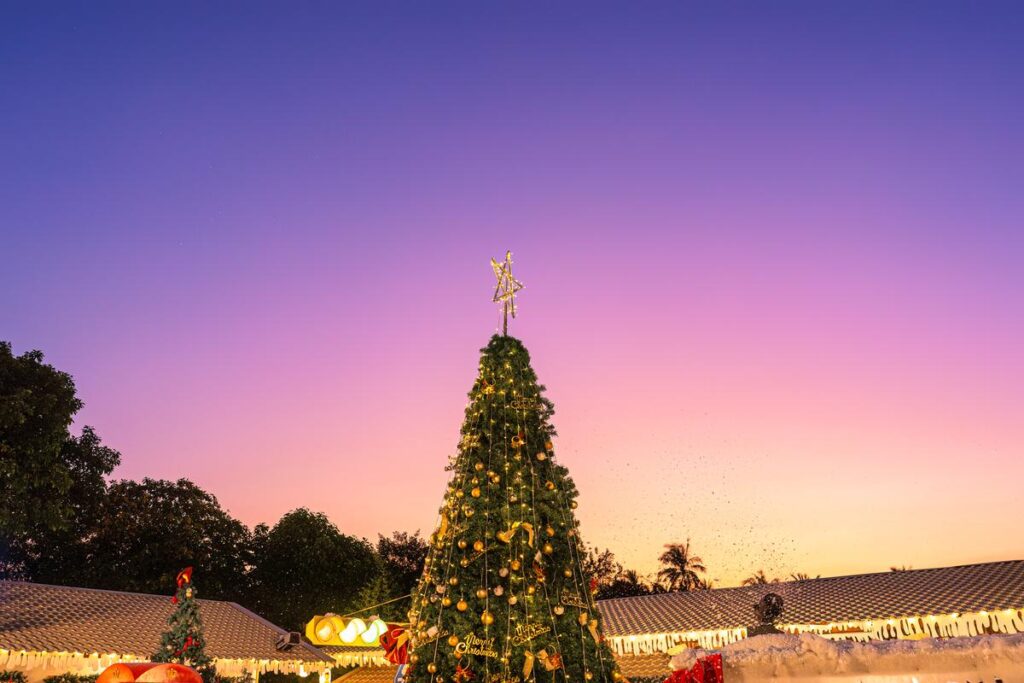 Tropical Christmas Tree
