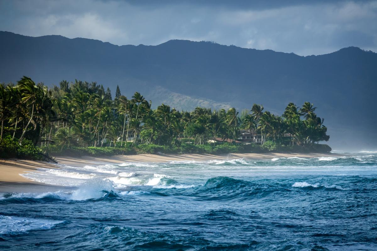The North Shore of Hawaii