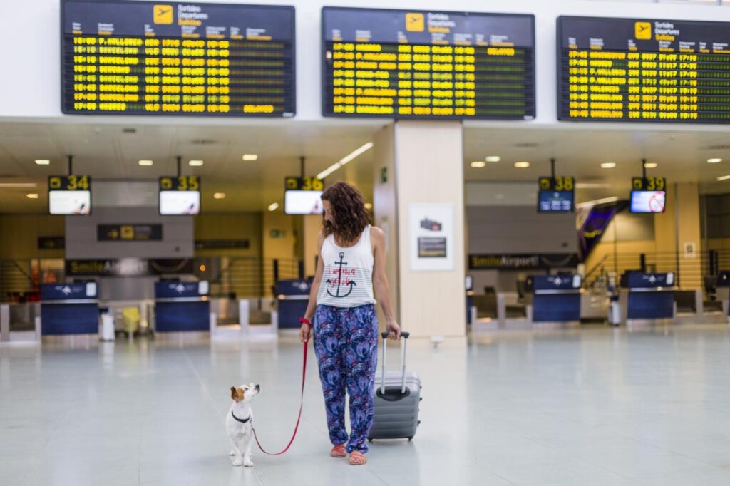 Travelling with pets