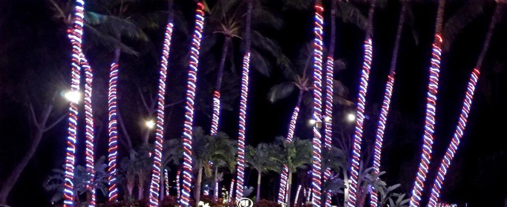 Holiday lights on palm trees in Hawaii