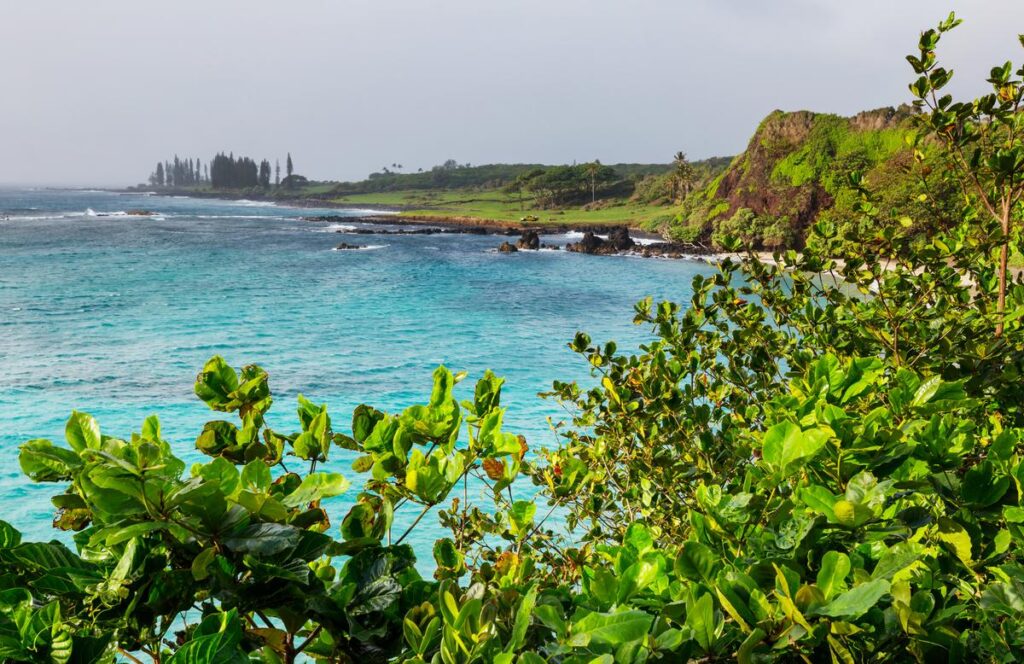 Beautiful Maui Views