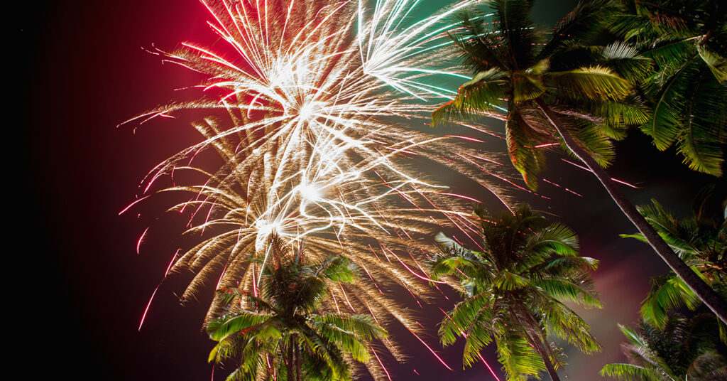Fireworks and palms on New Year's Eve,