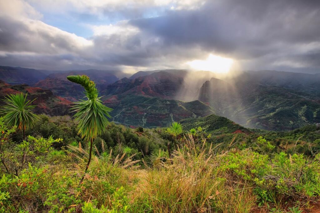 Waimea Canyon