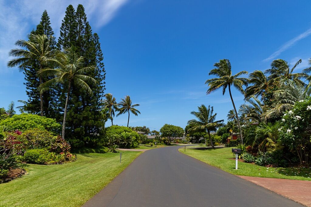 Princeville Kauai residential street with tropical landscaping, luxury homes, and mountain views on Hawaii’s North Shore. 