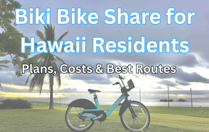Biki Bike Share